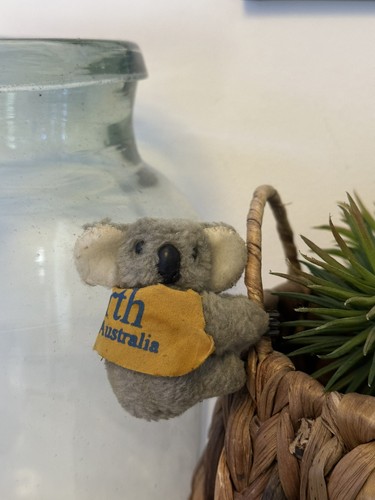 1980 koala clip hugger - clip, on