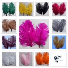 Ostrich Feathers x2 Plume Herl