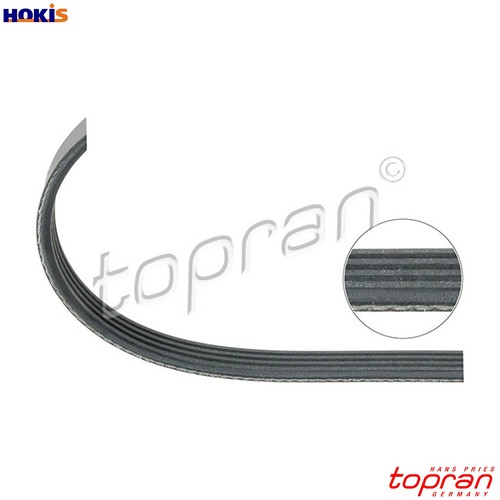 Vribbed belt 500 683 - 500,