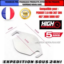 Peugeot 2.0 HDI 307 308 407 3008 Valve Removal Shutter Plate EGR Cap