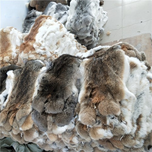 50pcs set real rabbit pelt - real,