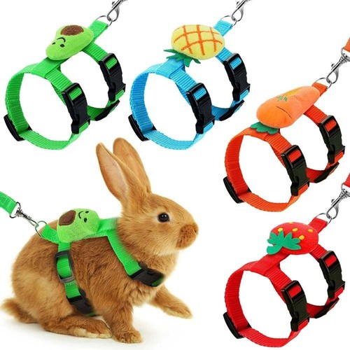 Rabbit harness and leash - harness,