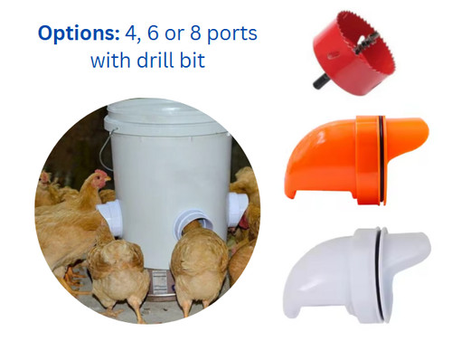 Diy port chicken - chicken, feeder
