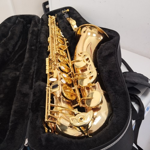 Vivace 1554 tenor - tenor, +