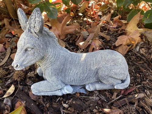 Donkey jack arse - donkey, statue