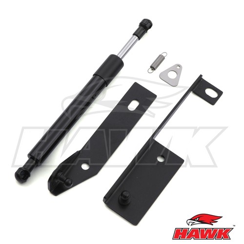 Rear tailgate damper - rear, assist