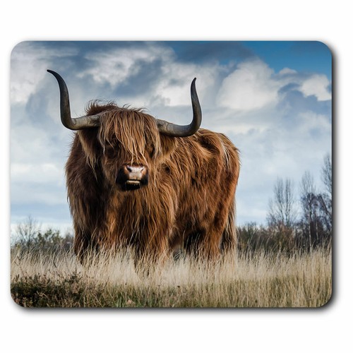 Computer mouse mat - computer,