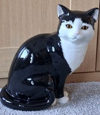 Just Cats & Co Staffordshire