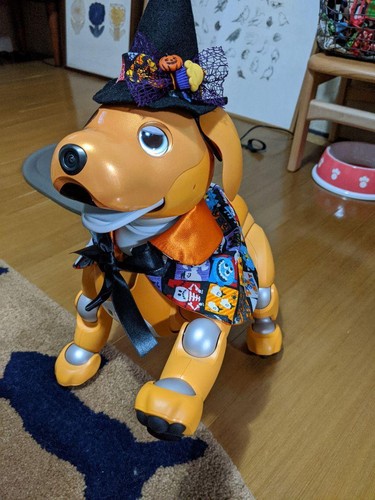 Aibo halloween costume cape - halloween,