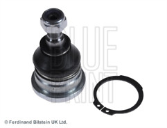 Lower front ball joint - lower, blue