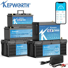 12/24/36/48V 100Ah 120Ah 180AH 200AH 300Ah LiFePO4 Lithium Battery BMS Solar RV