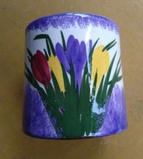 Torquay ware longpark crocus - torquay,