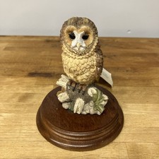 Leonardo collection nature