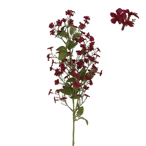 Dark red phlox stem autumnal - stem,