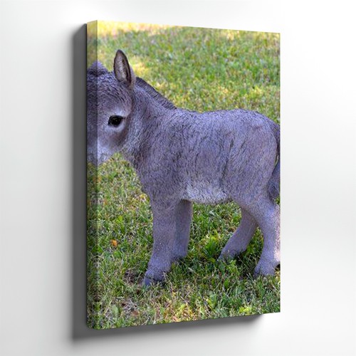 Canvas gray donkey statue farm - donkey,