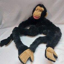 Wrap Around Charley Chimp