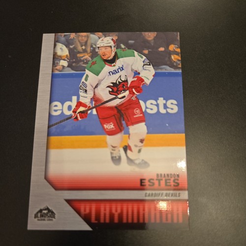 Brandon estes playmaker - estes,