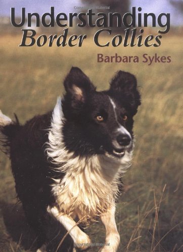 Understanding border collies - understanding,