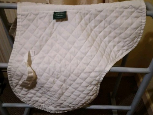 Wessex shires cob - wessex,