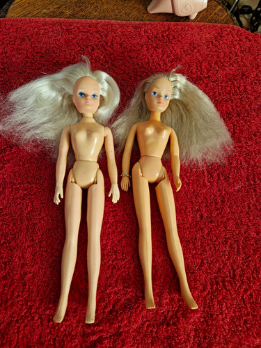 Sindy dolls - sindy,