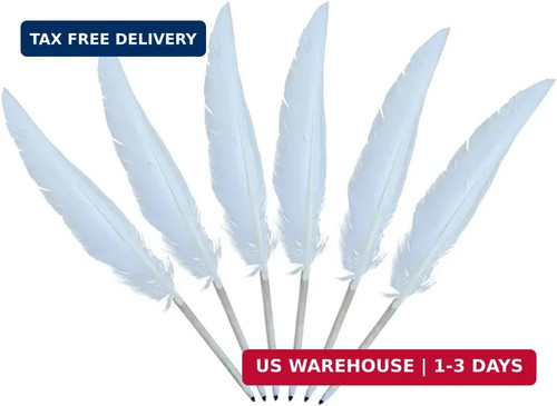 Pcs white feather quill - pcs,