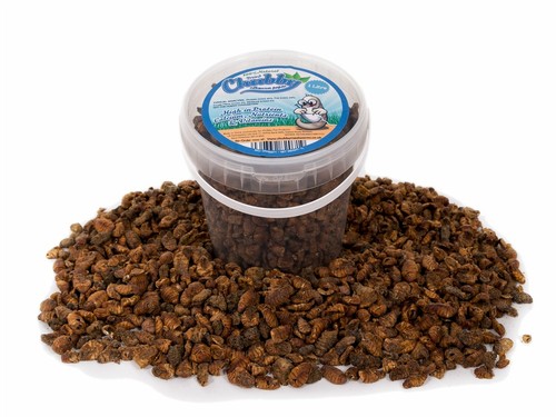 Litre dried silkworm - litre,