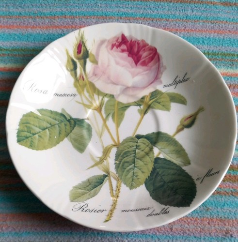 Roy kirkham redoute roses - kirkham,