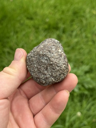 Meteorite nwa chondrite - meteorite,