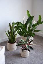 Handwoven Chia Seagrass Fibre