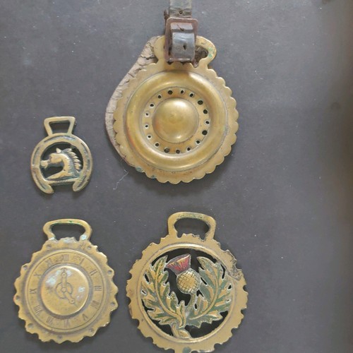 Horse brasses scottish - x,