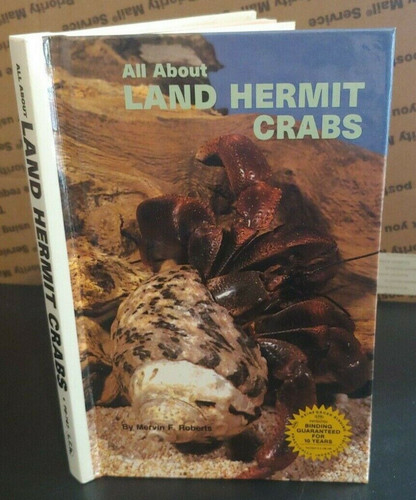 All about land hermit - hermit, crabs