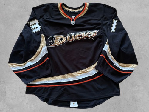 Anaheim ducks nhl goalie game - anaheim,
