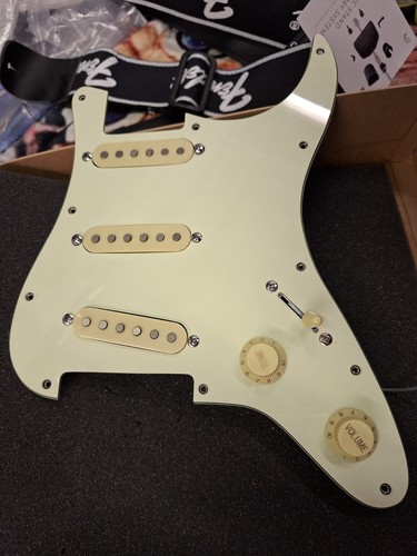 Pickup loaded strat plate - g&b,