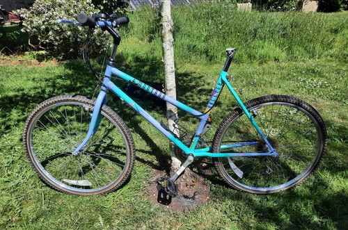 1990 raleigh montana ladies - c.1990,