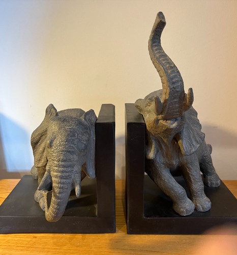 Beautiful pair elephant - pair,