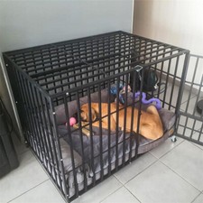 BingoPaw 38"/42"/46" Heavy