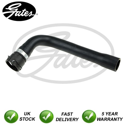 Radiator coolant hose upper - coolant,