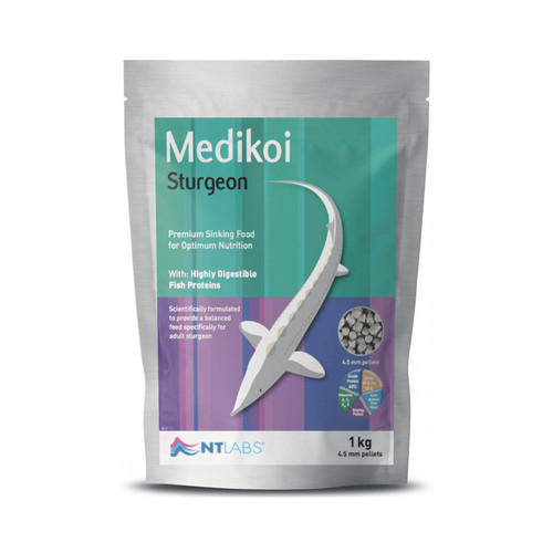 Labs medikoi sturgeon fish - sturgeon,