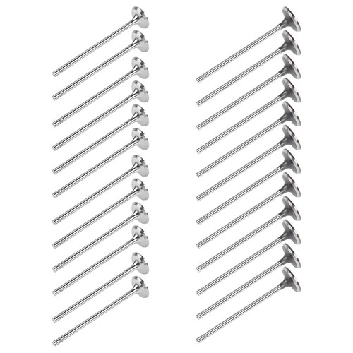 Intake exhaust valve for - valve,