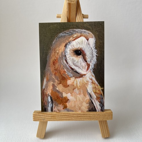 Aceo print barn owl - aceo,