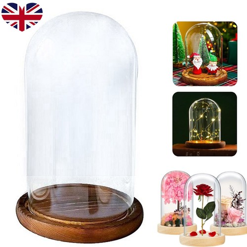 Glass display cloche bell jar - cloche,