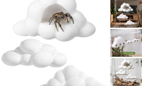 Elevatetech jumping spider - elevatetech,