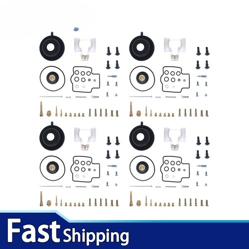 Carburetor repair kit for - kit,