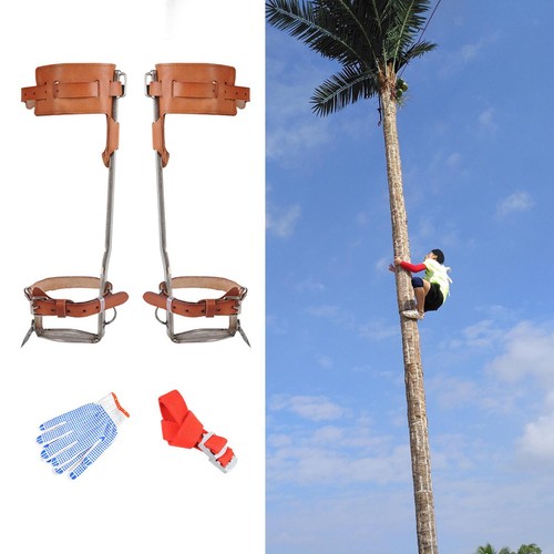 Tree climbing spike set pedal - spike,
