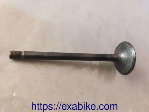 Intake valve for honda - intake,