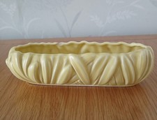 SylvaC 2486 Yellow Hyacinth