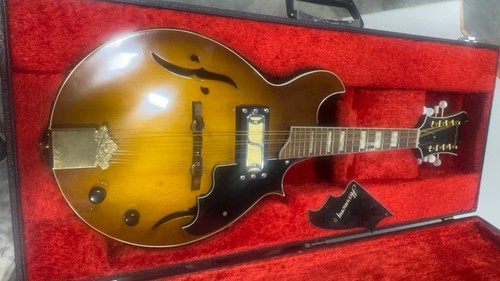 1972 harmony h35 batwing - 1972,
