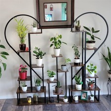 Heart-Shaped 20 Pots Plant