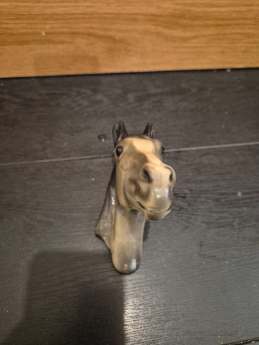 Horse head white nose - head,