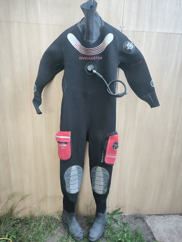 Northern diver divemaster - diver,